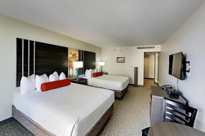 Alluring Aqua Palms Studio